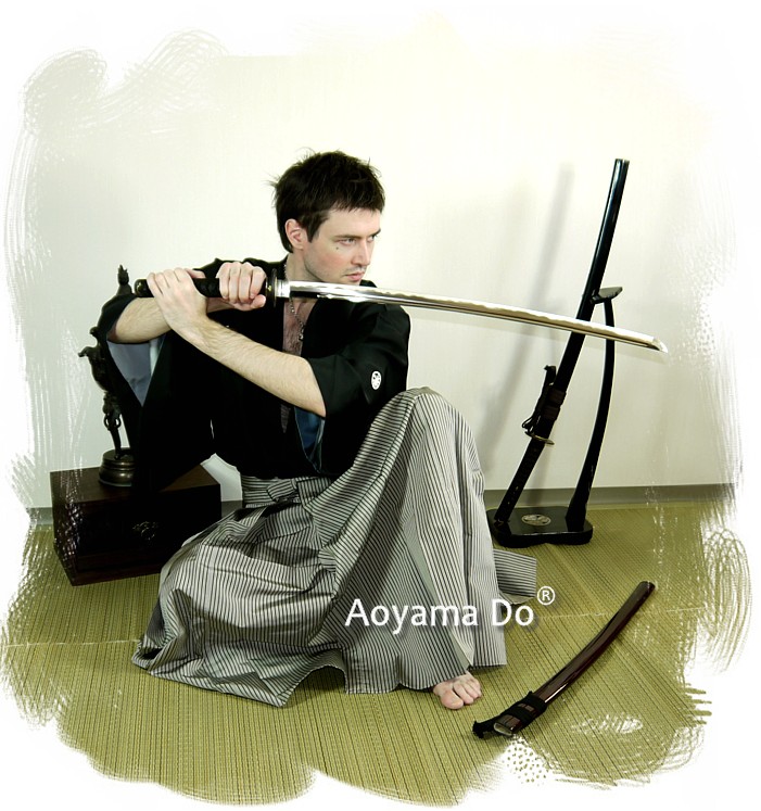 меч для иайдо катана Тенмон, интернет-магазин Japan Direct